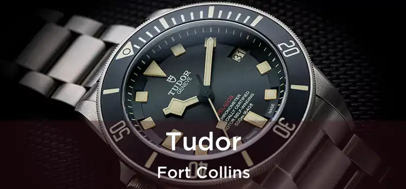 Tudor Fort Collins